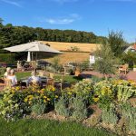 garden-area